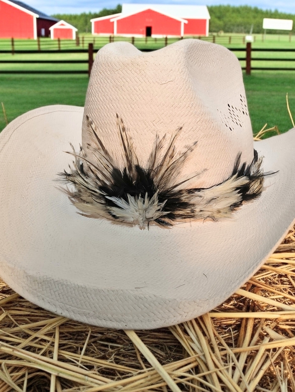 Men's Stetson Straw Cowboy Hat "Roadrunner" 7, Vintage With New Feather Hat Band - Picture 2 of 9